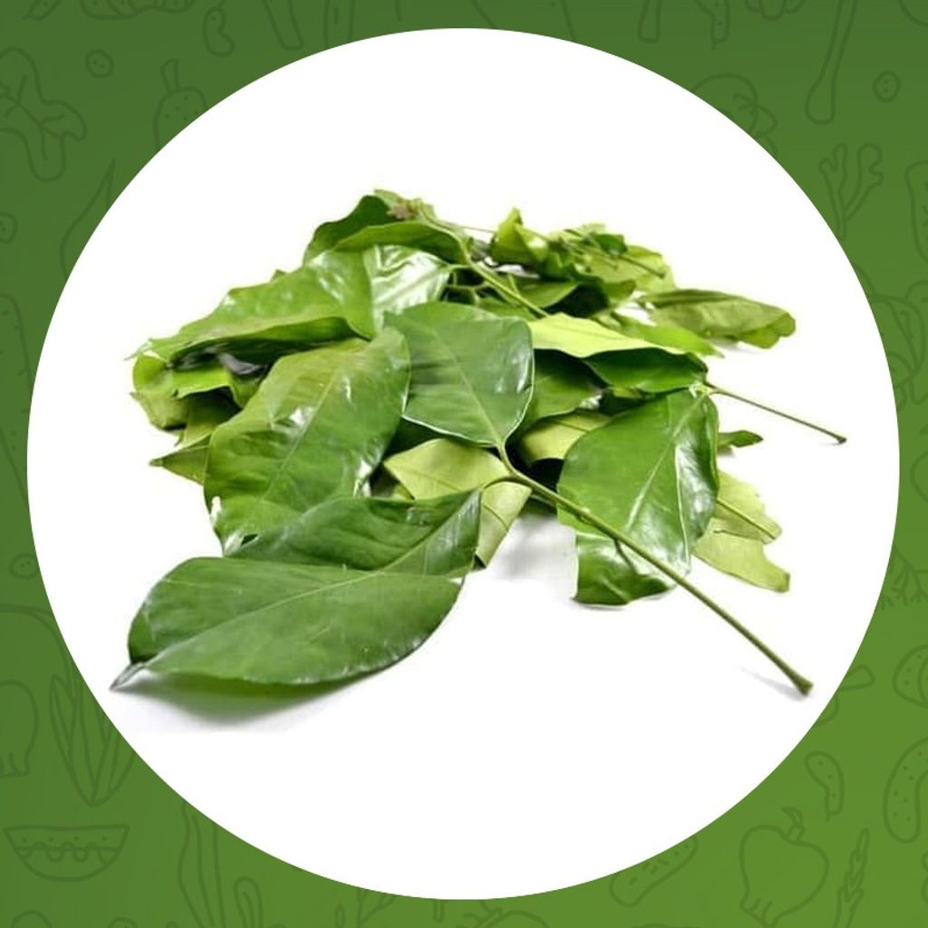 

DAUN MLINJO/DAUN SO 100 gr