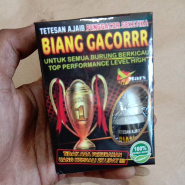 

Biang gacorrr