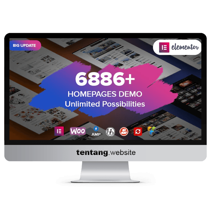 Soledad Multi Concept AMP WP Theme