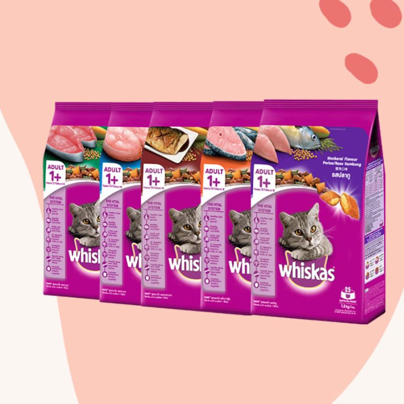 [DRY FOOD] Whiskas Dry Cat Food Adult 1+ 480gr