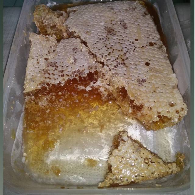 

Sarang Madu