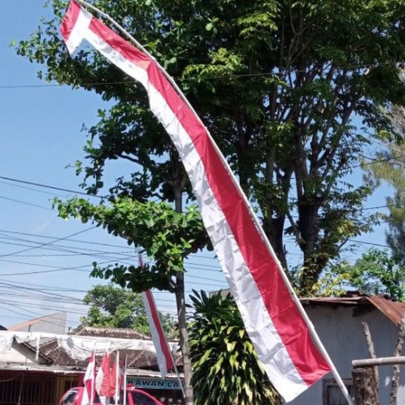 UMBUL UMBUL LAYUR UMBUL UMBUL MERAH PUTIH READY STOCK