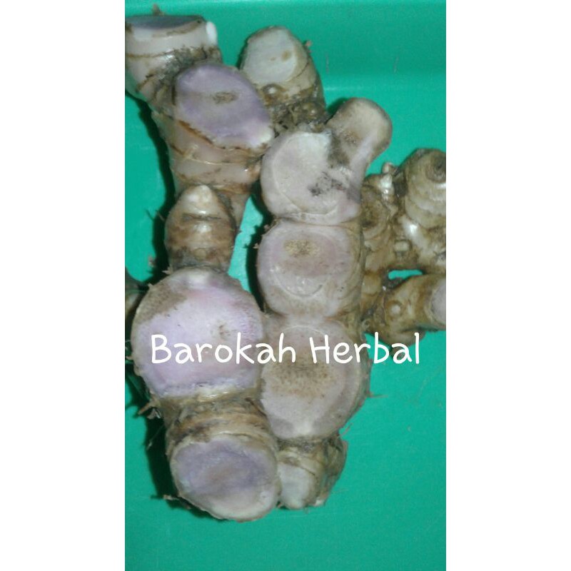 Panglai Hitam / Bangle Hitam