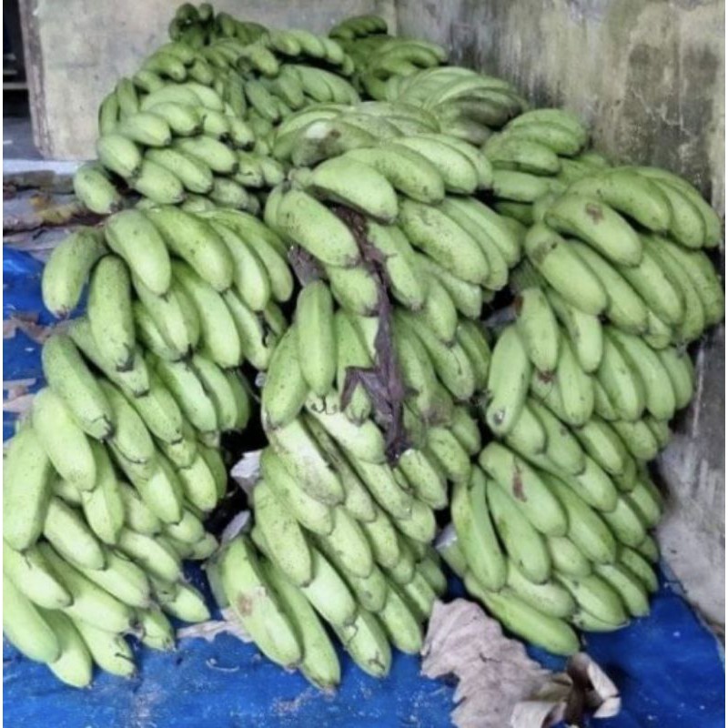 

pisang barangan