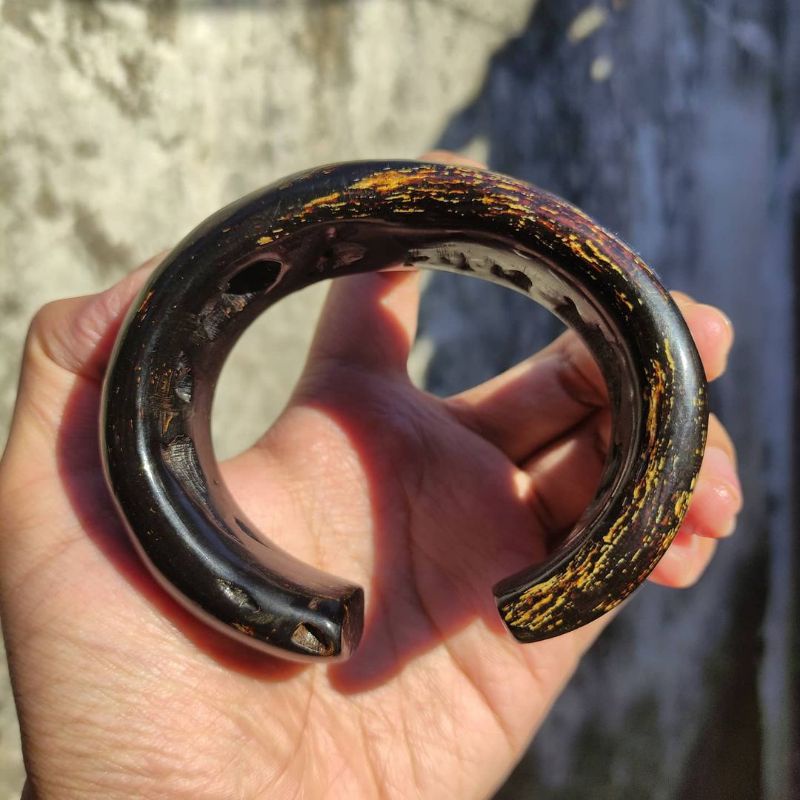 C jumbo bodi merah akar bahar berkualitas