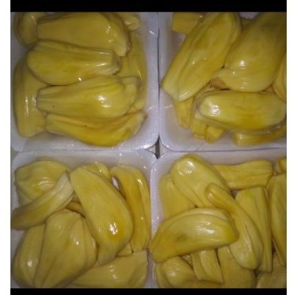 

nangka kupas bersih 2 pack