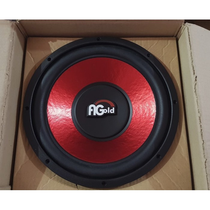 speaker acoustic 12 inch