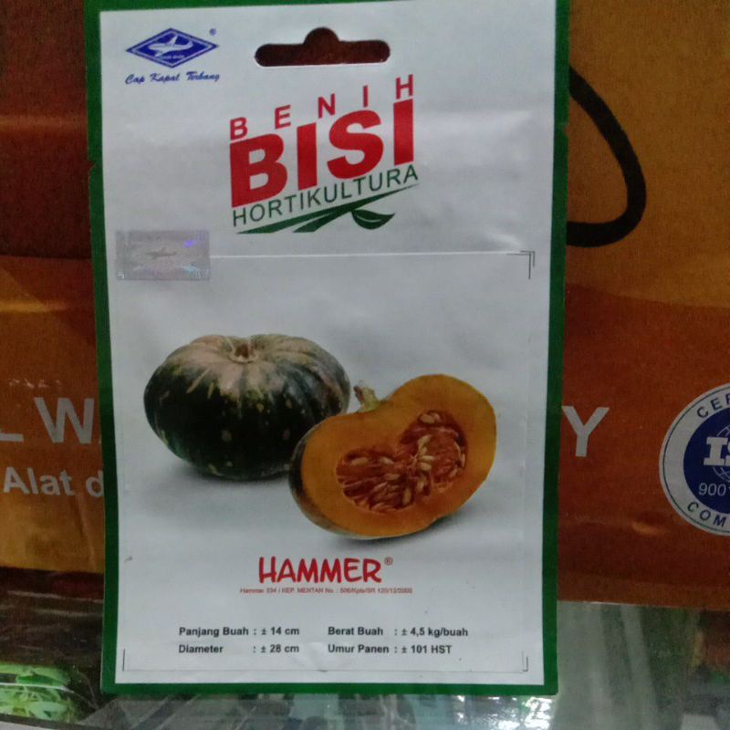 BENIH BISI HAMMER ISI 15 BIJI