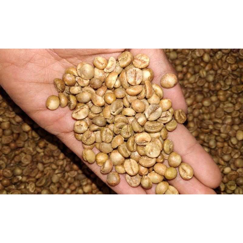 greenbean arabika   robusta  biji kopi mentah semeru pasrujambe 1kg