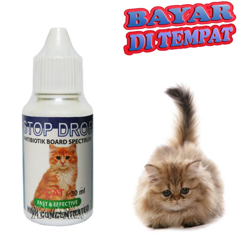 Obat Kucing Sakit STOP DROP Antibiotik Flu Demam Kucing Diare Virus
