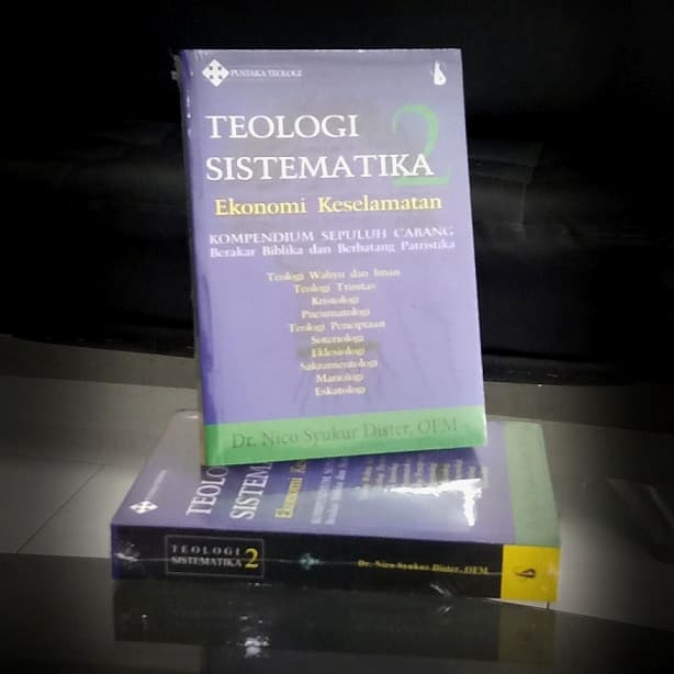 Teologi Sistematika 2, Ekonomi Keselamatan