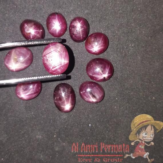 ➹ Natural Ruby Star Afrika Kecil ♥