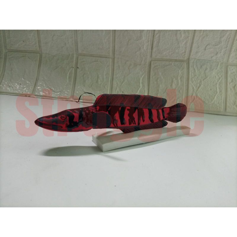 PATUNG WAYANG BONEKA CHANA AURANTI, YELLOW MARU, RED MARU,blue PULCHRA/IKAN GABUS (STRUGGLE)AQUARIUM AQUASCAPE POLADARIUM  PEMANAS PANCINGAN LATIHAN BIAR GALAK DAN AGRESIF ANTI MAGER