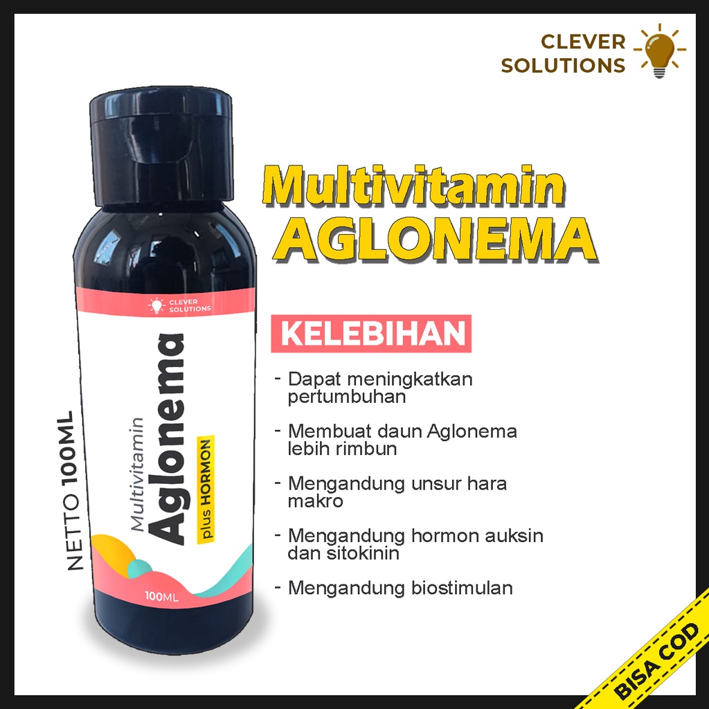 Pupuk Agolnema Multivitamin Aglonema Penggemuk dan Penumbuh Tunas Aglonema Pigmentasi Warna Aglonema