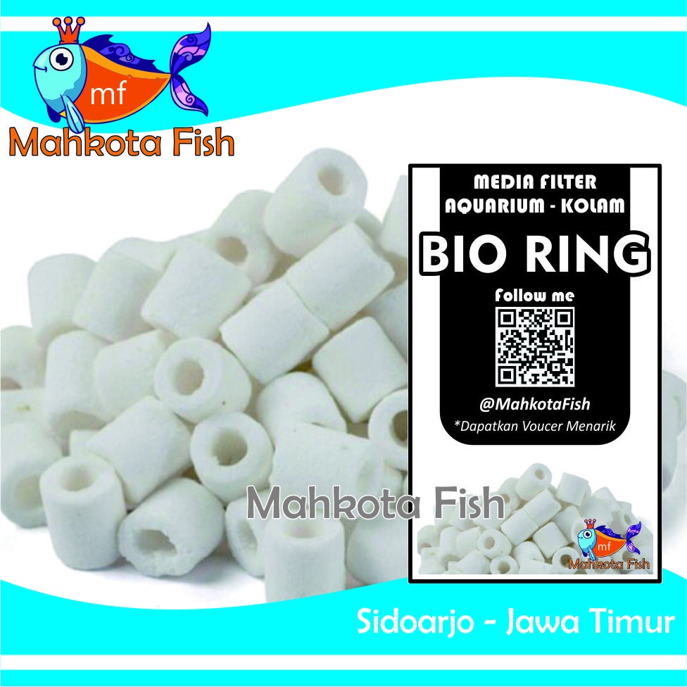Bio Ring KECIL (1 Kantong / 50 Biji) | Bioring Keramnik | Media Filter Aquarium Aquascape | Media Filter Kolam Ikan