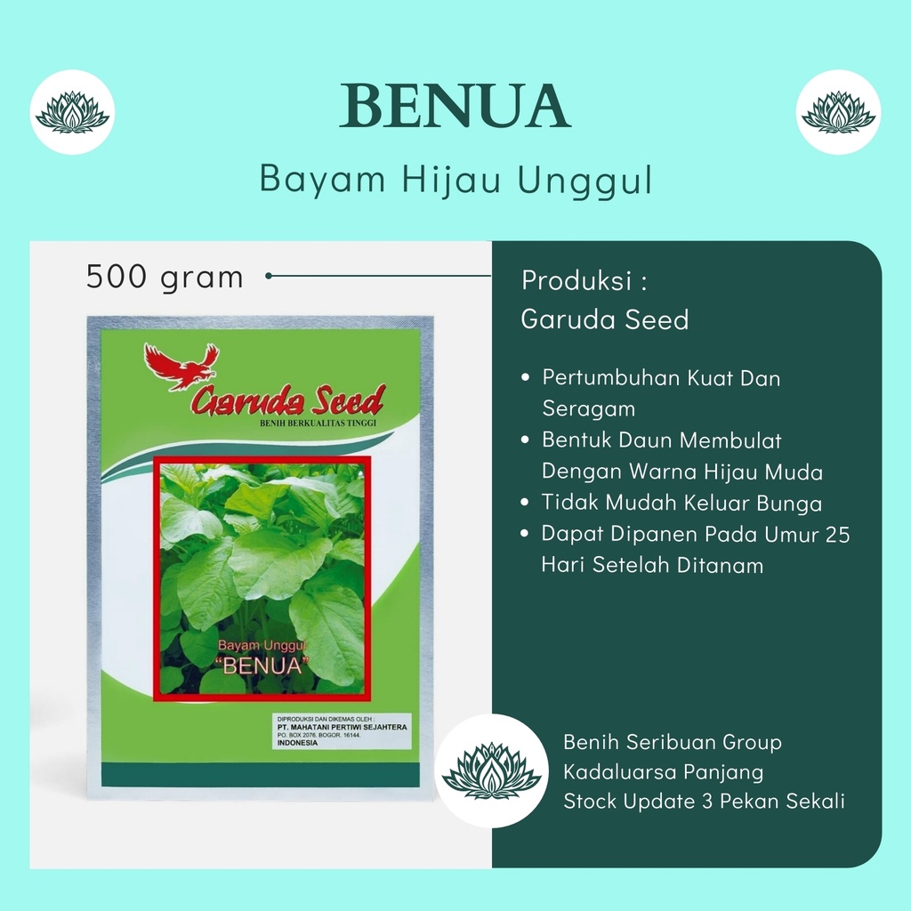 500 Gram Bibit Bayam Hijau Unggul BENUA 500gr Bibit Sayuran Bayam Super Tanaman Sayur Berkualitas Ke