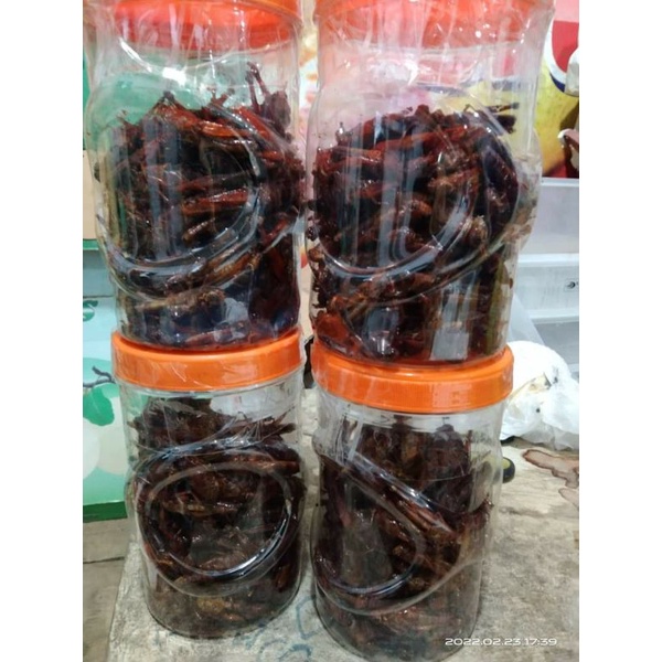 

belalang goreng