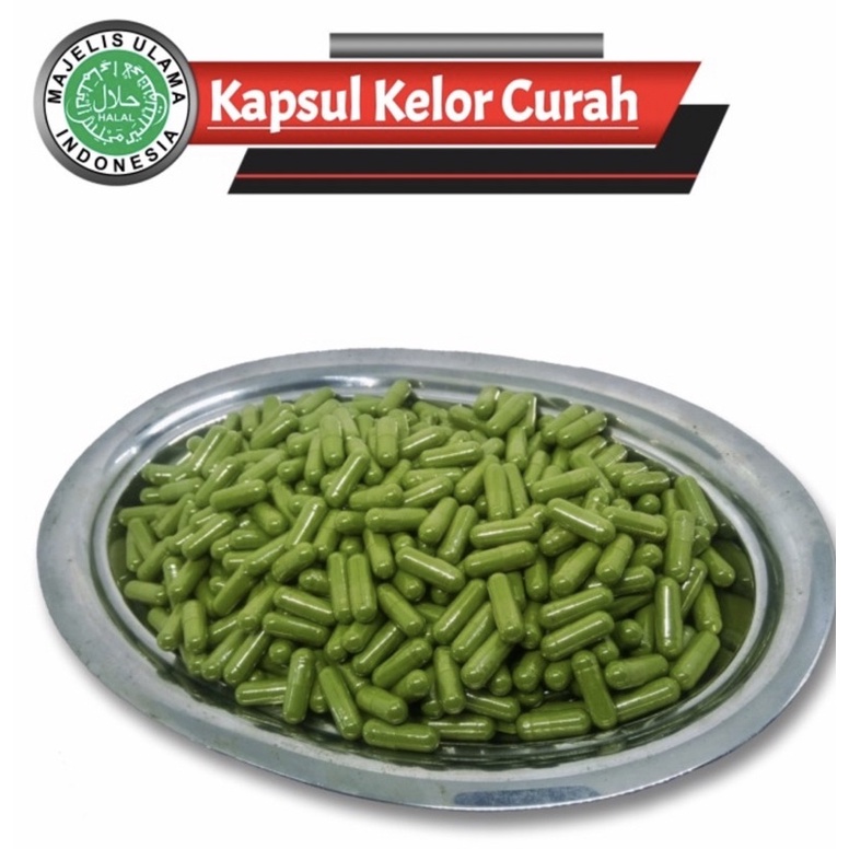 

Kapsul Daun Kelor Asli ECERAN /Perbiji Kapsul KELOR PREMIUM qualitas Ekspor / moringa beach / kapsul moringa asli kualitas ekspor / kapsul tepung daun kelor asli / tepung daun kelor asli / kapsul herbal kelor / tepung kelor asli