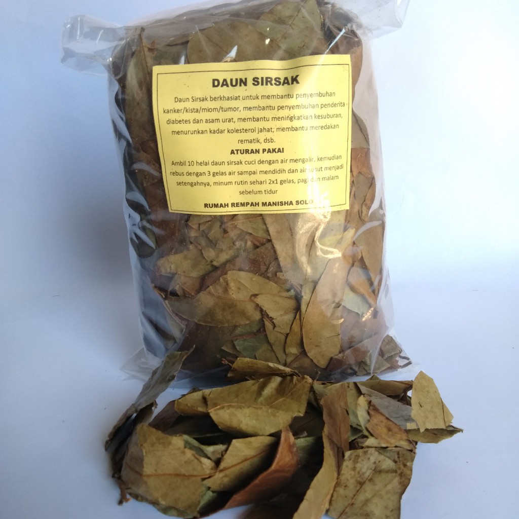  Daun Sirsak Kering  100gr Shopee Indonesia