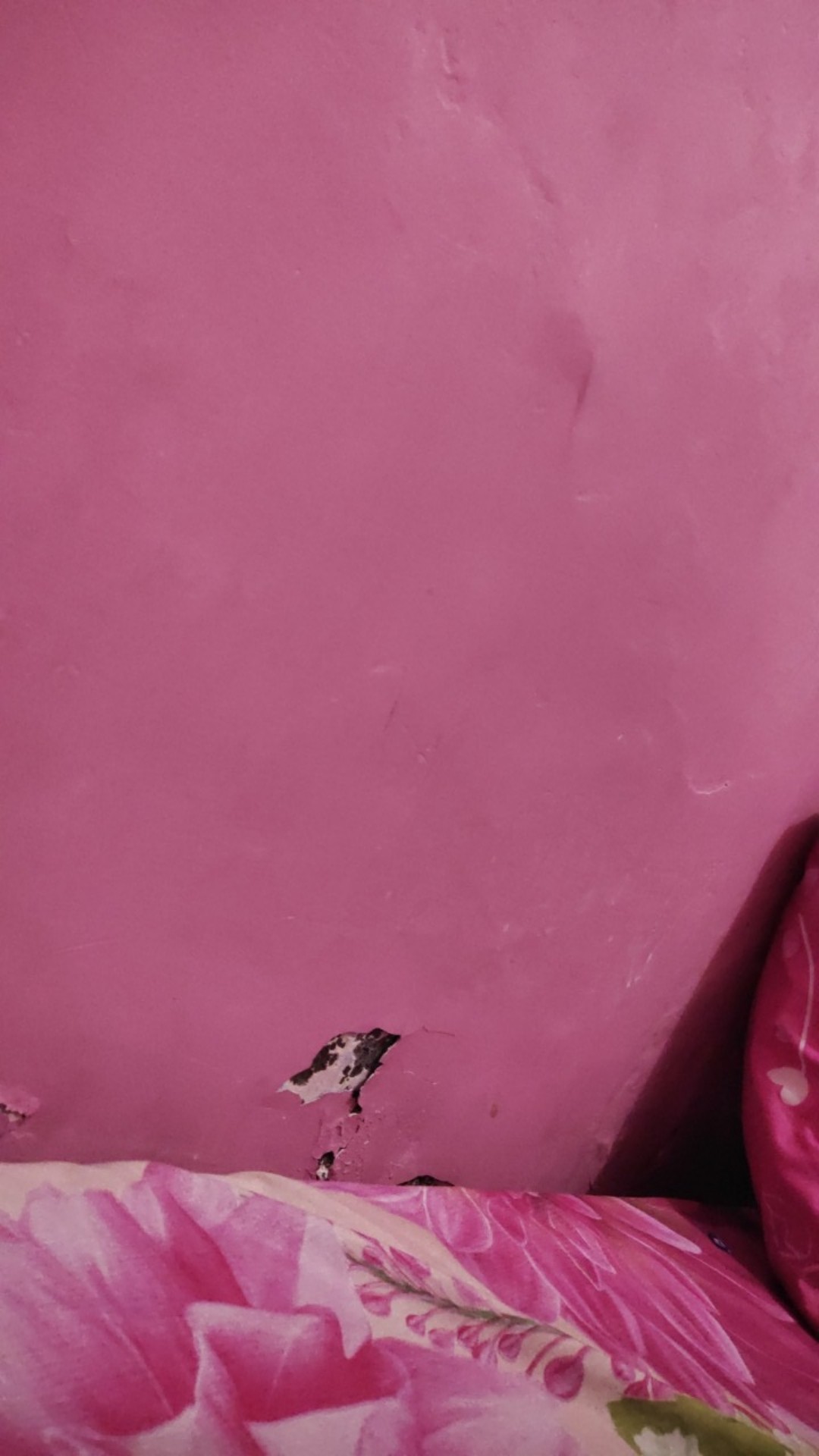 [berat 1kg] Set Loyang Bolu Bongkar Pasang / 3 Pcs Shape Cake Mould Anti Lengket / Springfoam Pan