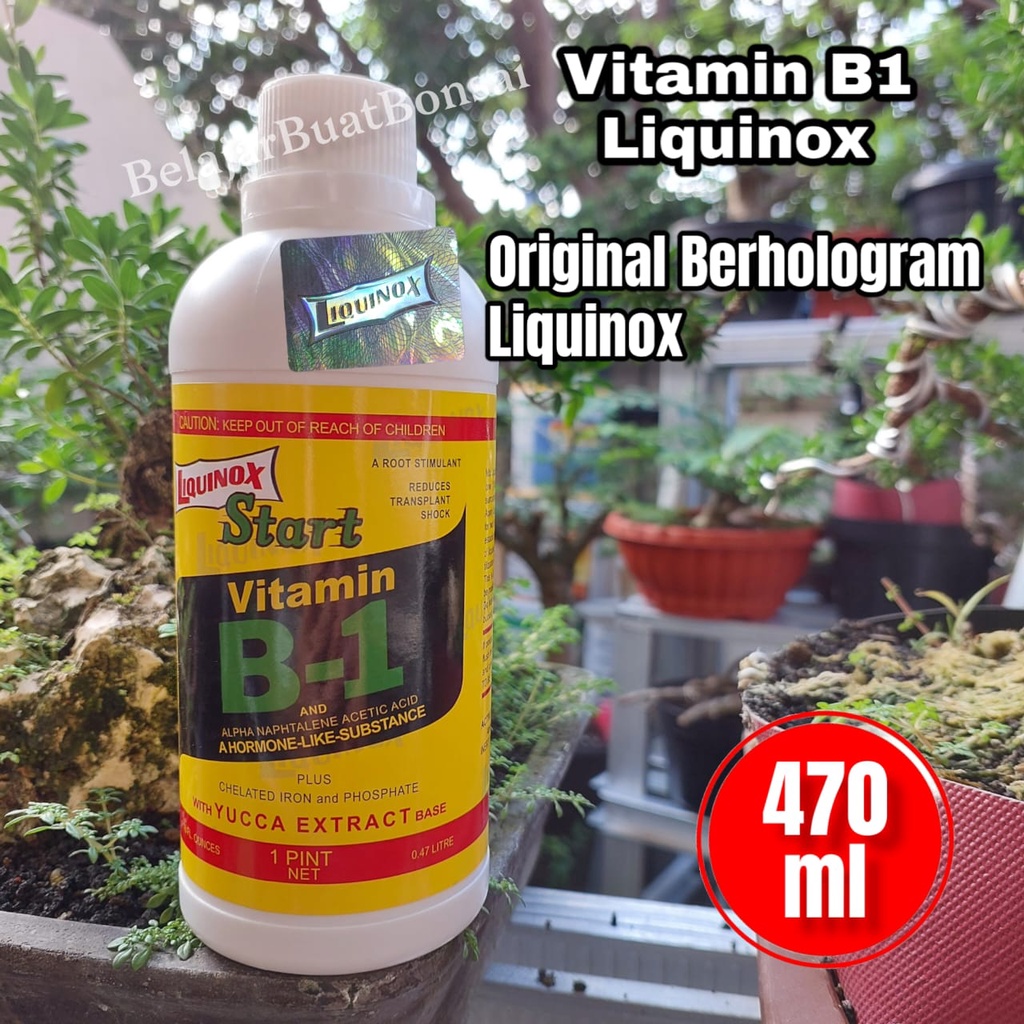 Pupuk Vitamin B1 Tanaman Harga 1 Dus Isi 12 Botol 470ml