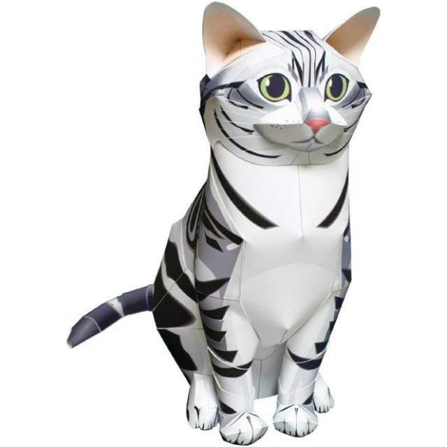American Shorthair papercraft
