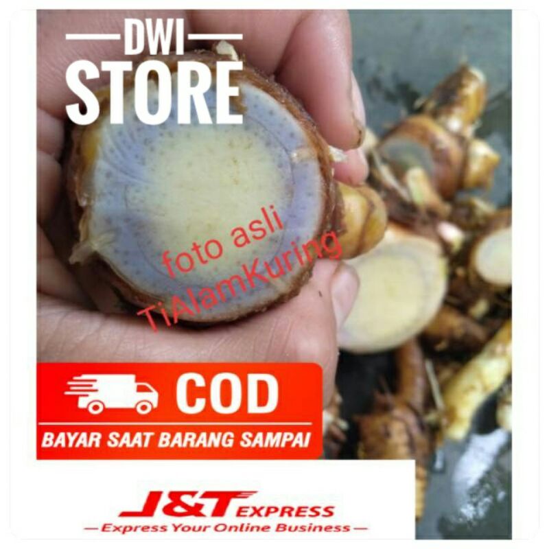

TEMU HITAM / TEMU IRENG / OBAT HERBAL FRESH 1-KG