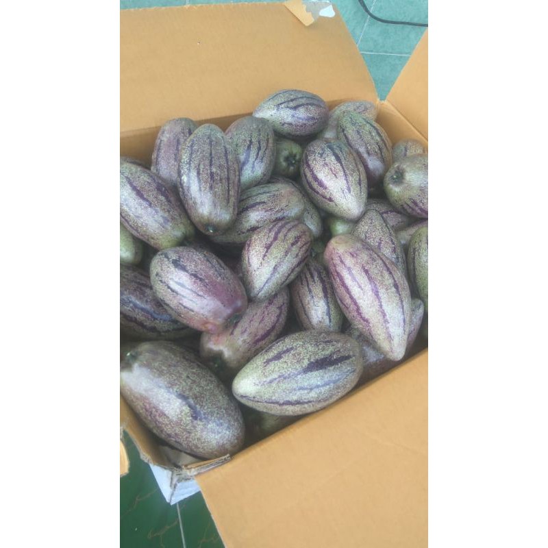 

buah pepino per 2 kg