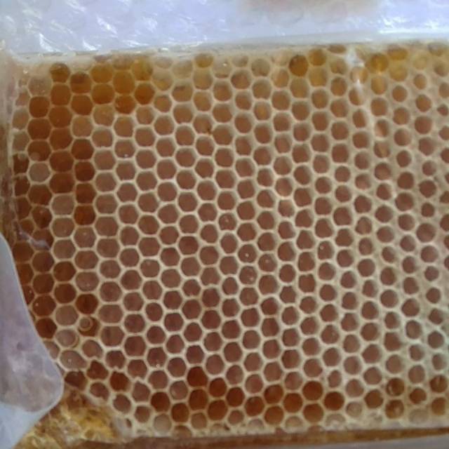 

Madu sarang multiflora 500gr