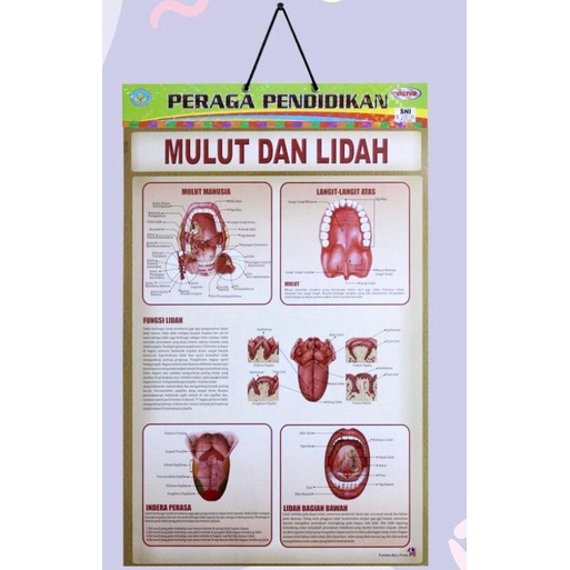 

POSTER PERAGA PENDIDIKAN