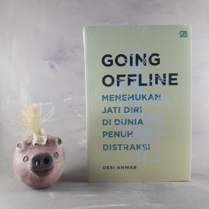 Going Offline - Desi Anwar