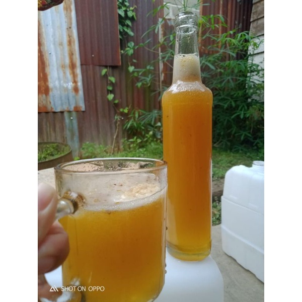 

Madu Hutan Asli