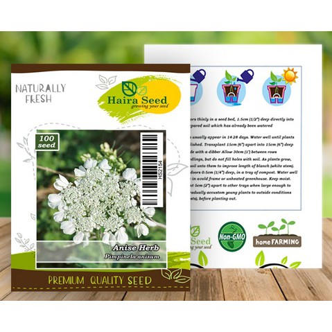 Benih Bibit Herb Anise/Adas Manis Haira Seed (100 Butir)