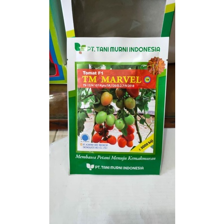 Benih Tomat TM MARVEL F1 3000 biji Bibit Tani Murni