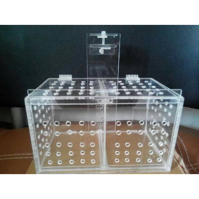 

Langsung Order aklimasi box /karantina Terlaris