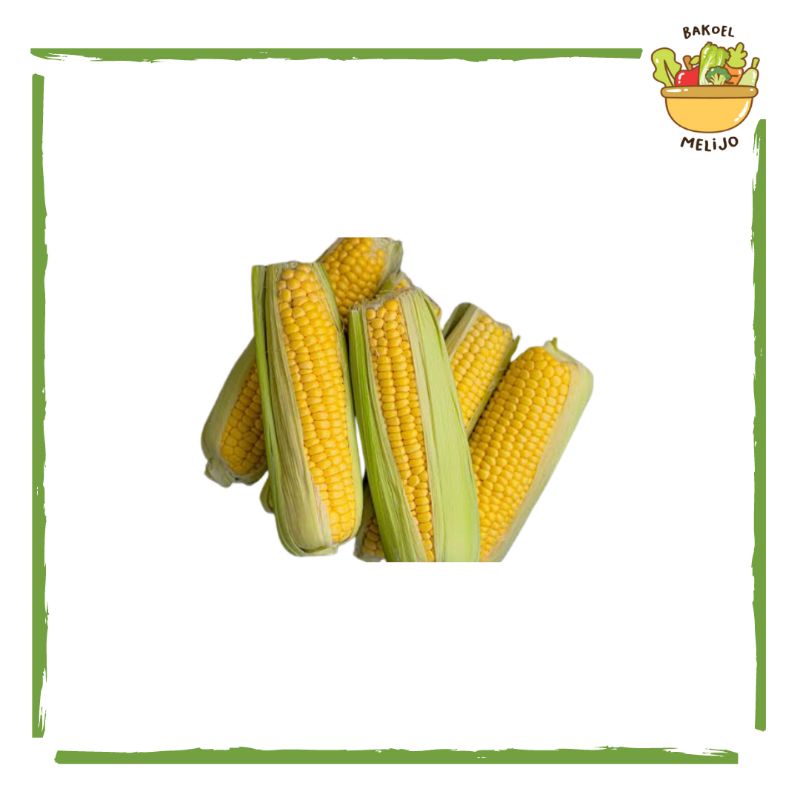 

Jagung manis/ 2 biji