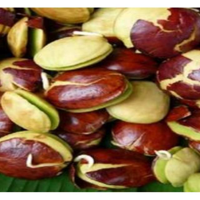 

JENGKOL 1kg