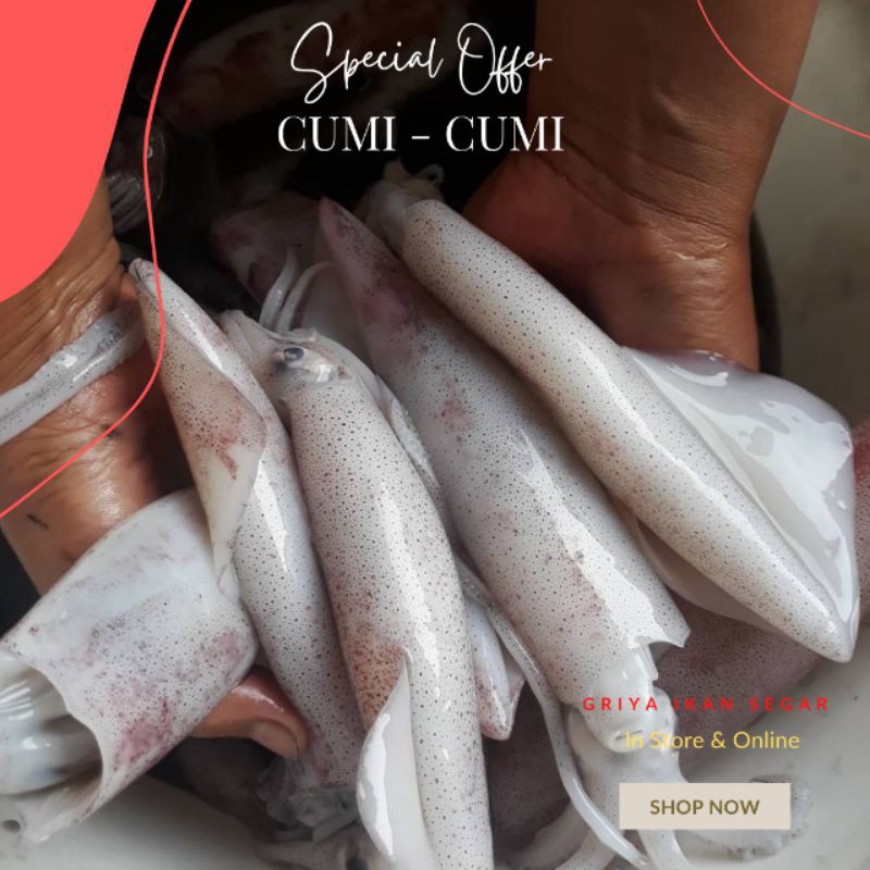 

CUMI SEGAR size sedang