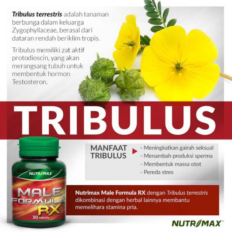 NUTRIMAX MALE FORMULA RX 30 TABLET