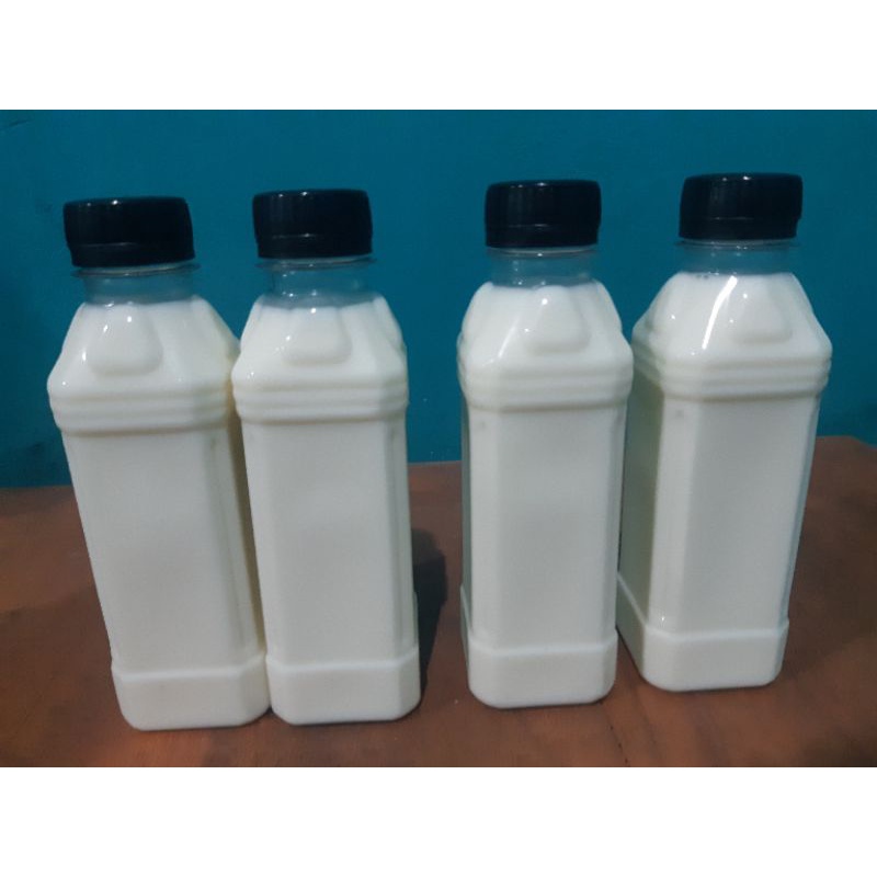 

Susuu sapi murni, fresh, tanpa campuran dan tidak berbau