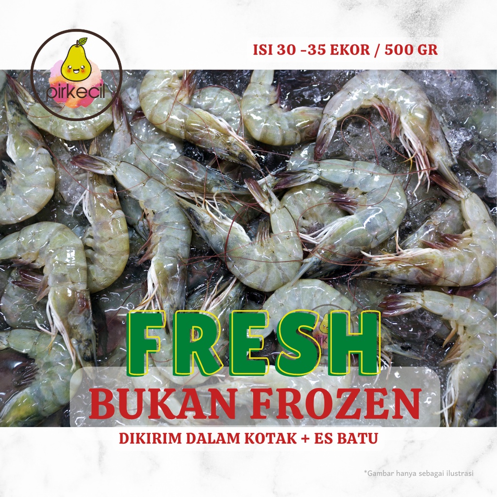 

Udang SEGAR (Ukuran Sedang)