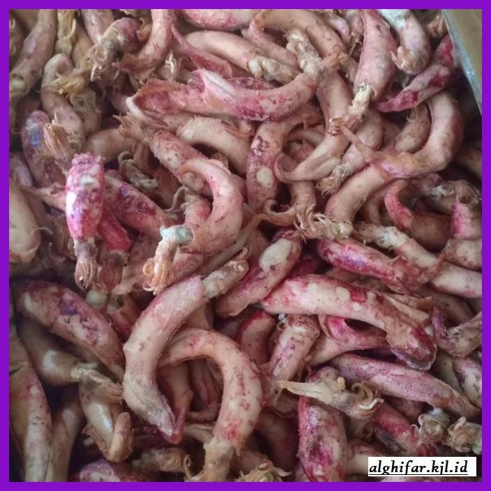 

Makanan-Kering- Ikan Asin Cumi Telor Kering Per 500Gr -Aneka.
