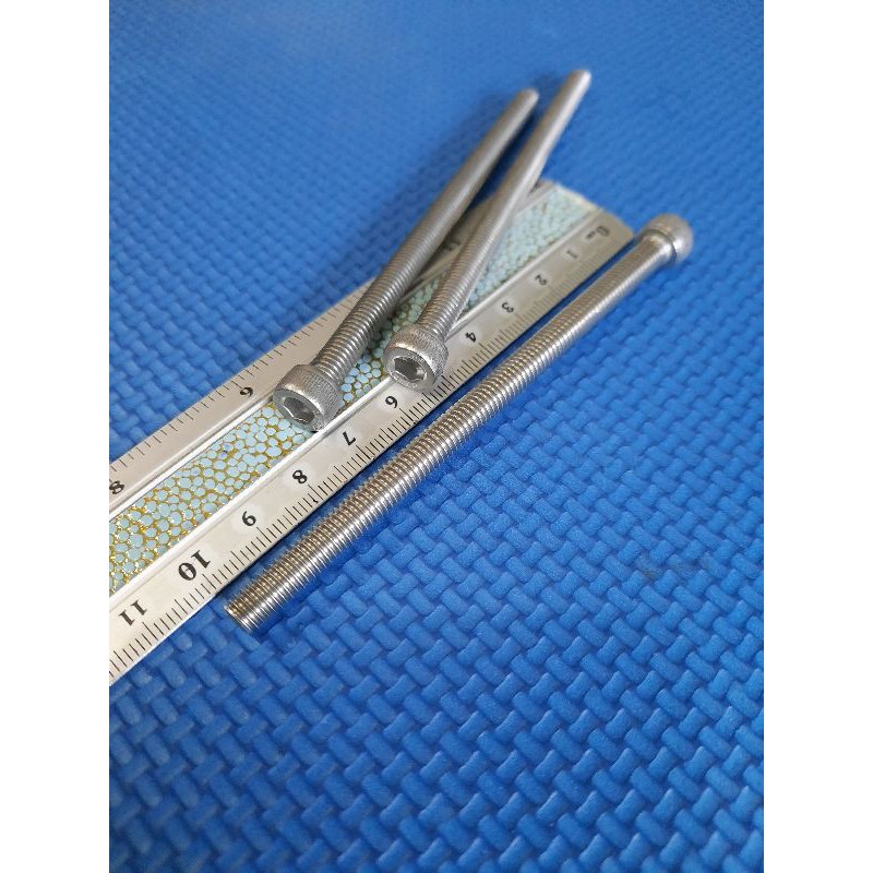 baut L 10/m6x10cm stainless