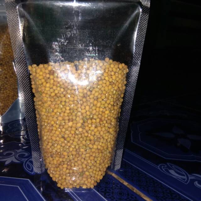 

kacang hijau 100%hasil pegungan situbondo