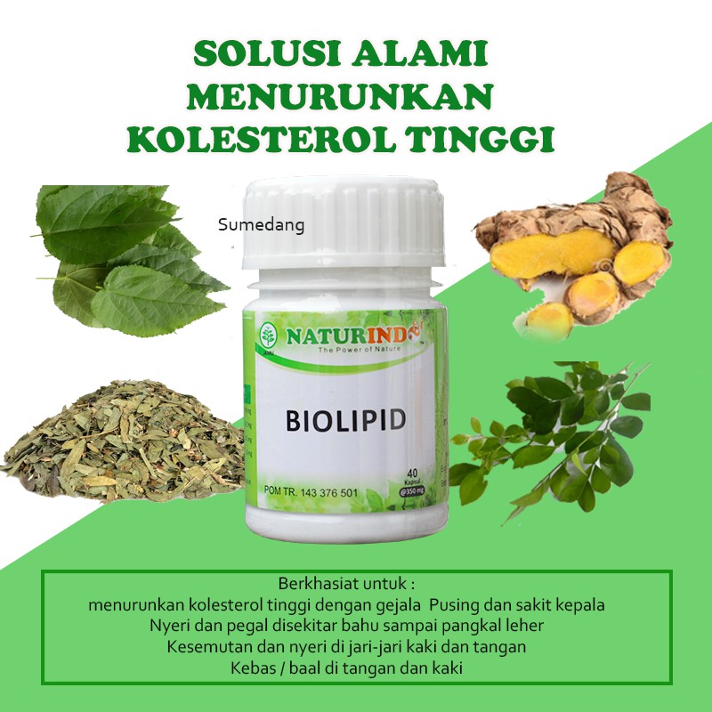 Biolipid Obat Herbal Kolesterol Tinggi Mengobati Sakit Kepala Nyeri Bahu Dan Kesemutan Isi 40 Kapsul Shopee Indonesia