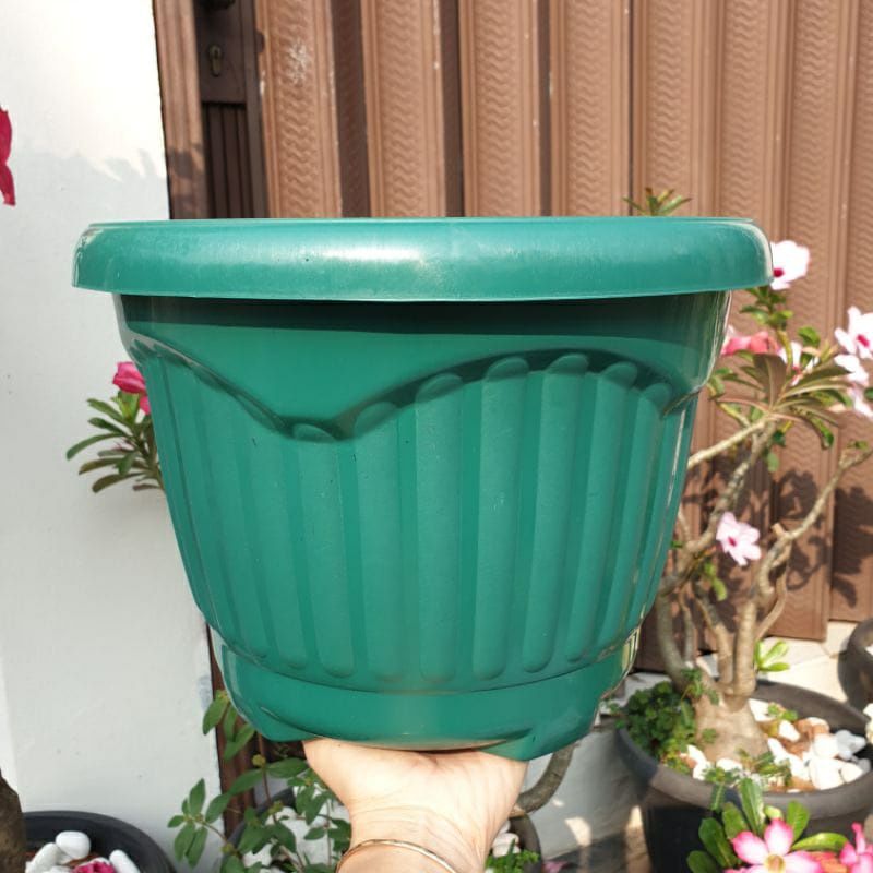 POT BUNGA 20 HIJAU POT TANAMAN 20CM POT KEBUN 20 POT BIBIT 20 CM HIJAU MODEL TULIP