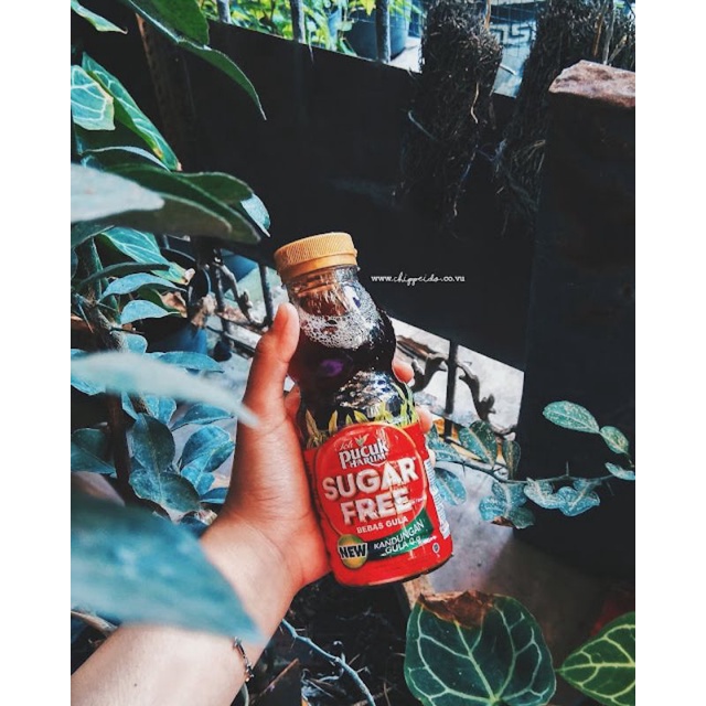 

teh pucuk