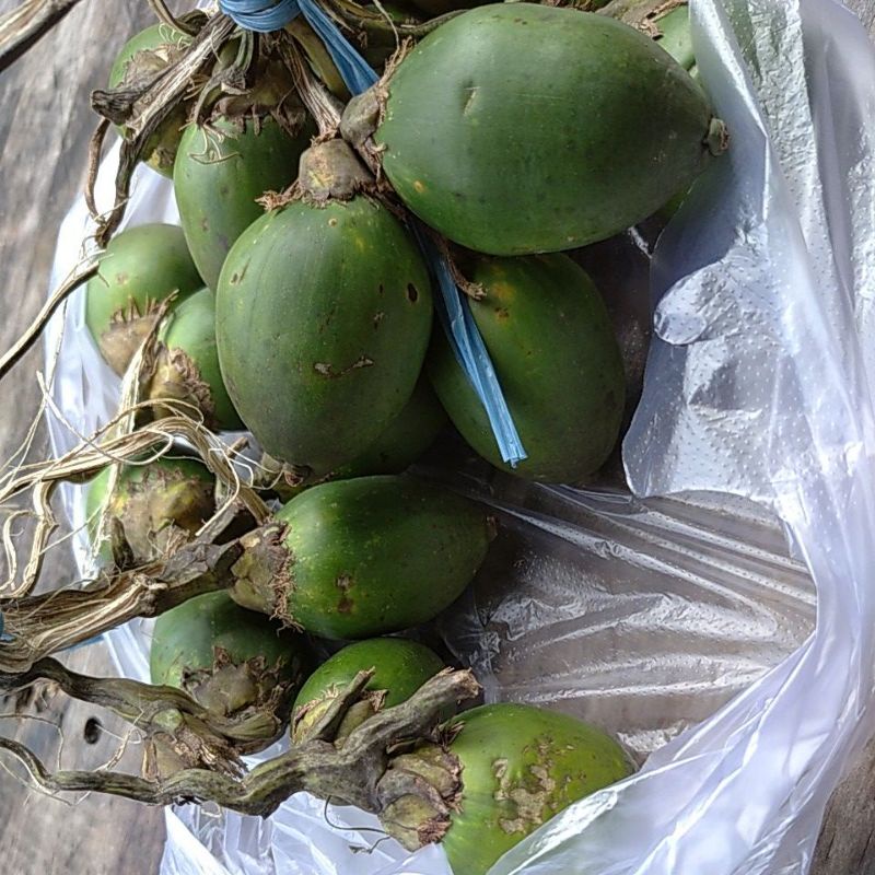 

Buah Pinang Jambe segar