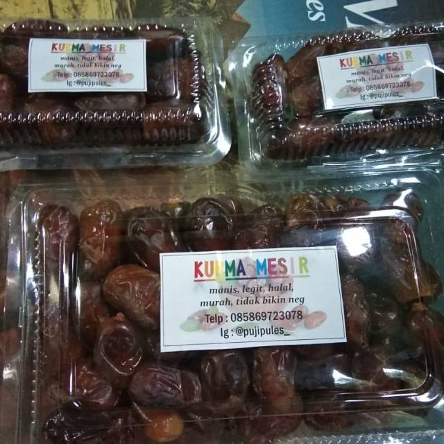 

Kurma Samani Mesir