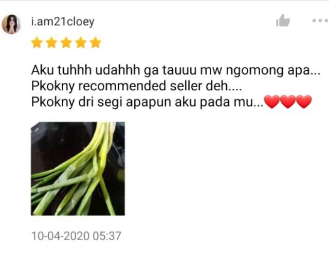 KIRIM INSTAN Daun Bawang 100gr